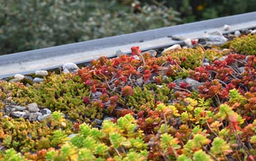 the cost of Aydon green roof installation