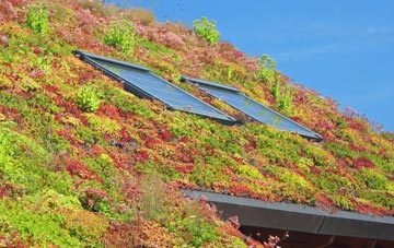 Aydon living roof systems
