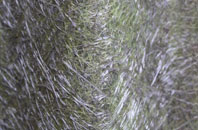 Aydon fibreglass roof work